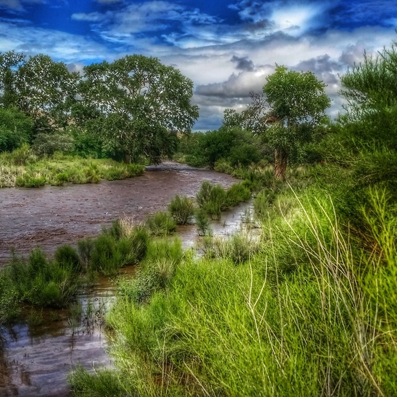 Meet your Posher, Christina - Picture 2 of 3